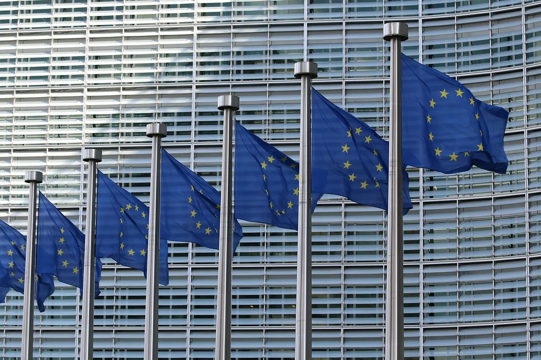 Steaguri ale Uniunii Europene - clienti internationali Steaguri ale Uniunii Europene - clienti internationali